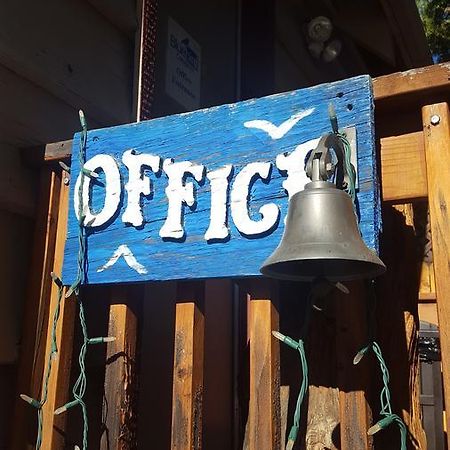 Bluebird Cottage Inn Idyllwild Kültér fotó