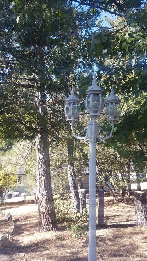 Bluebird Cottage Inn Idyllwild Kültér fotó