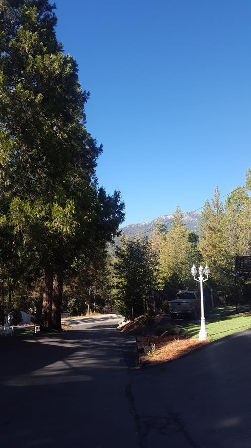 Bluebird Cottage Inn Idyllwild Kültér fotó