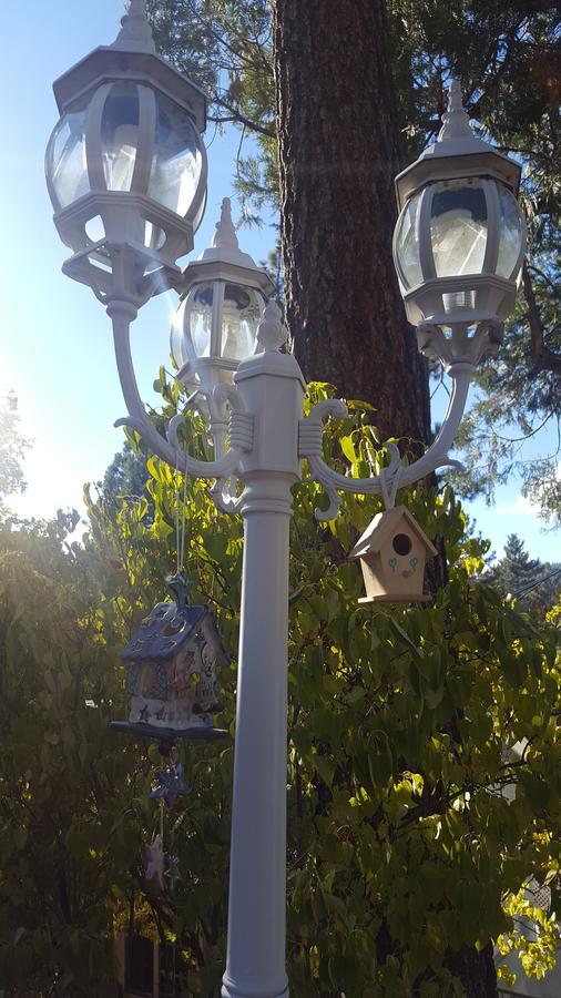 Bluebird Cottage Inn Idyllwild Kültér fotó