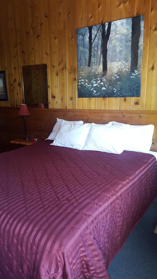 Bluebird Cottage Inn Idyllwild Kültér fotó